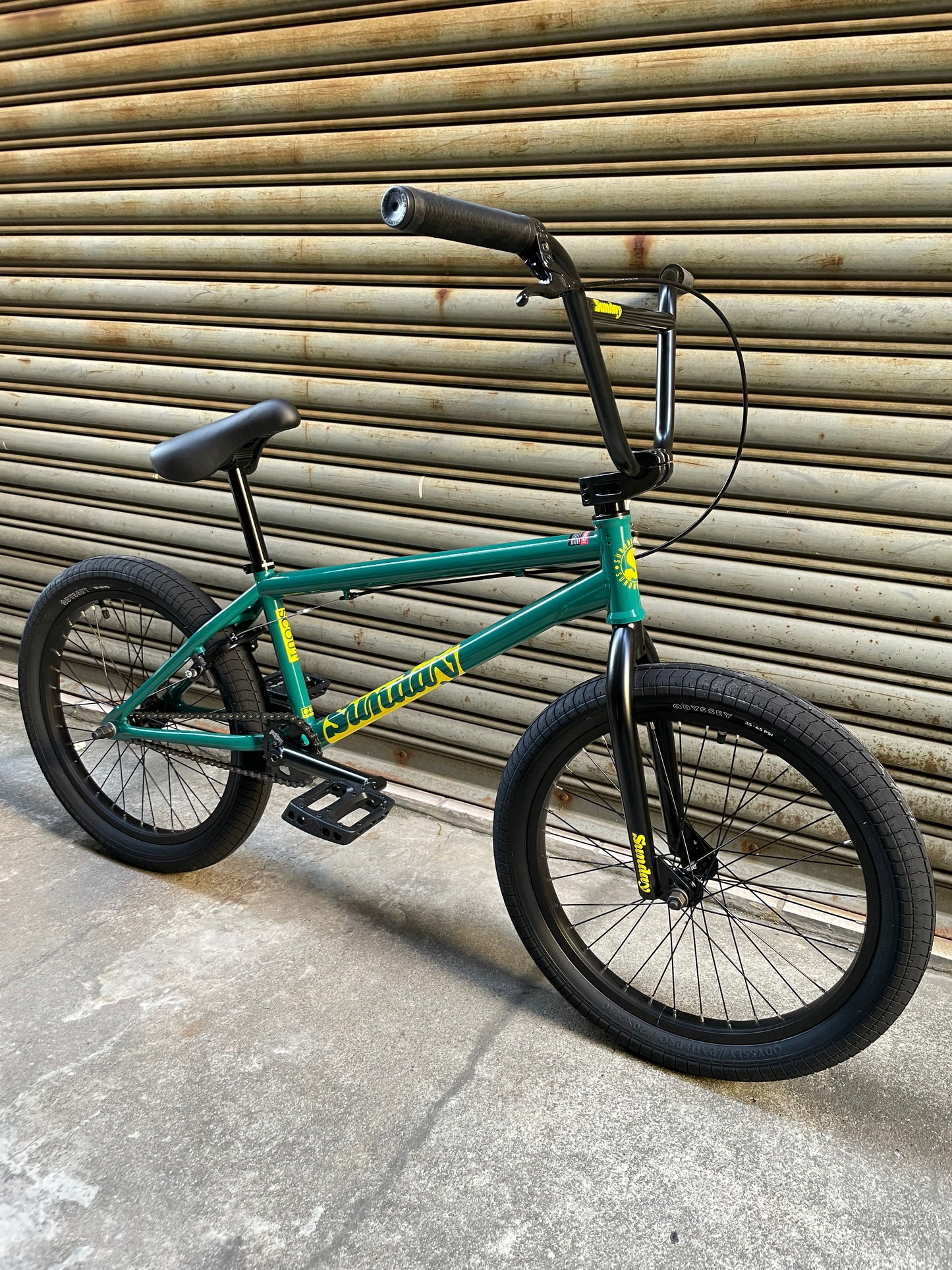 SUNDAY - 2025 SCOUT 20.75" PINE GREEN