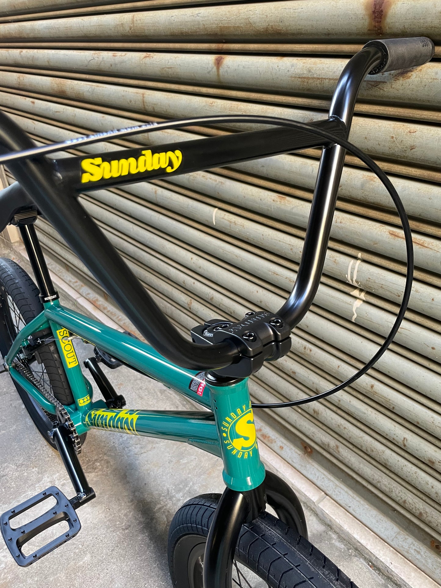 SUNDAY - 2025 SCOUT 20.75" PINE GREEN