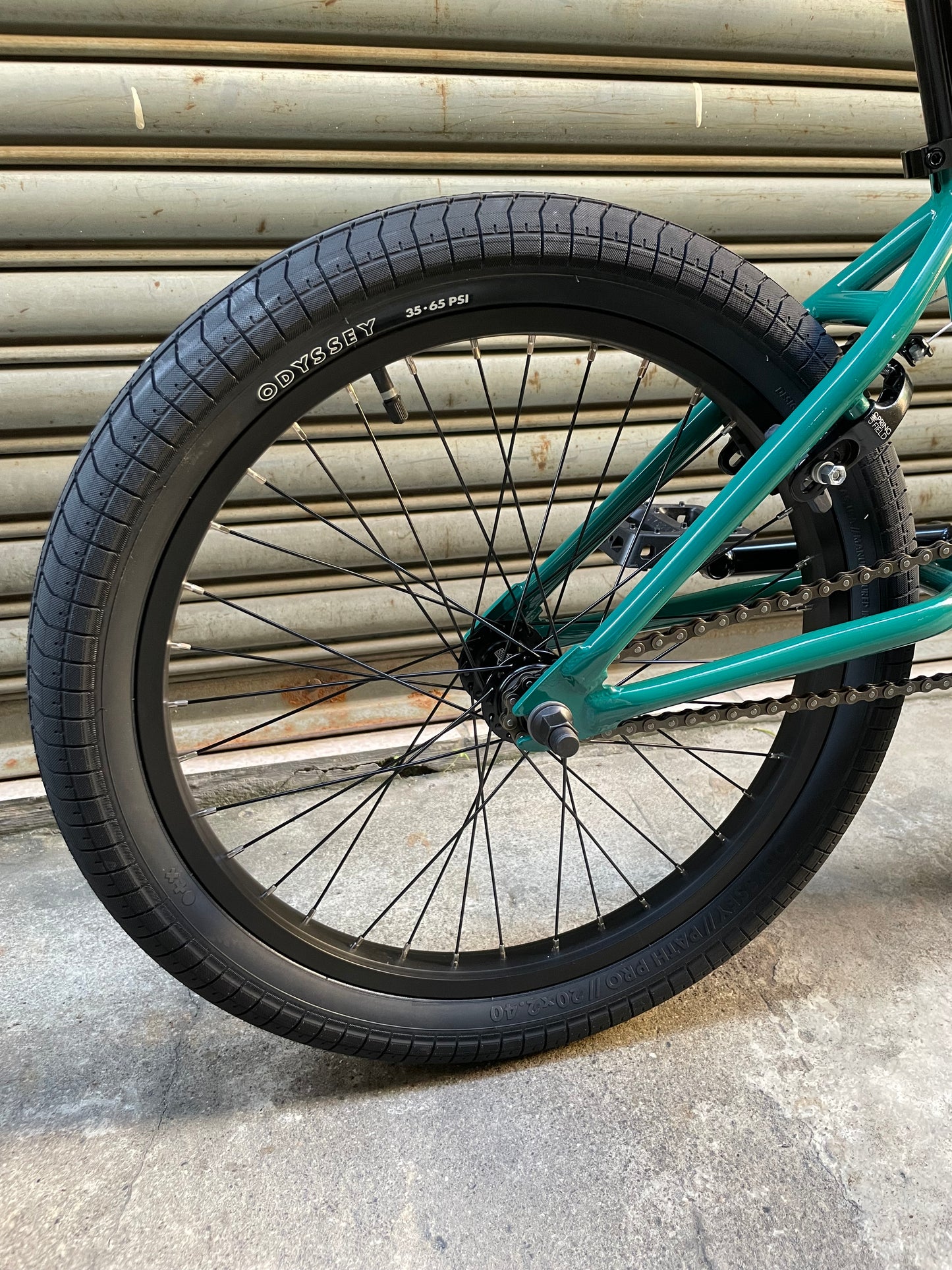 SUNDAY - 2025 SCOUT 20.75" PINE GREEN