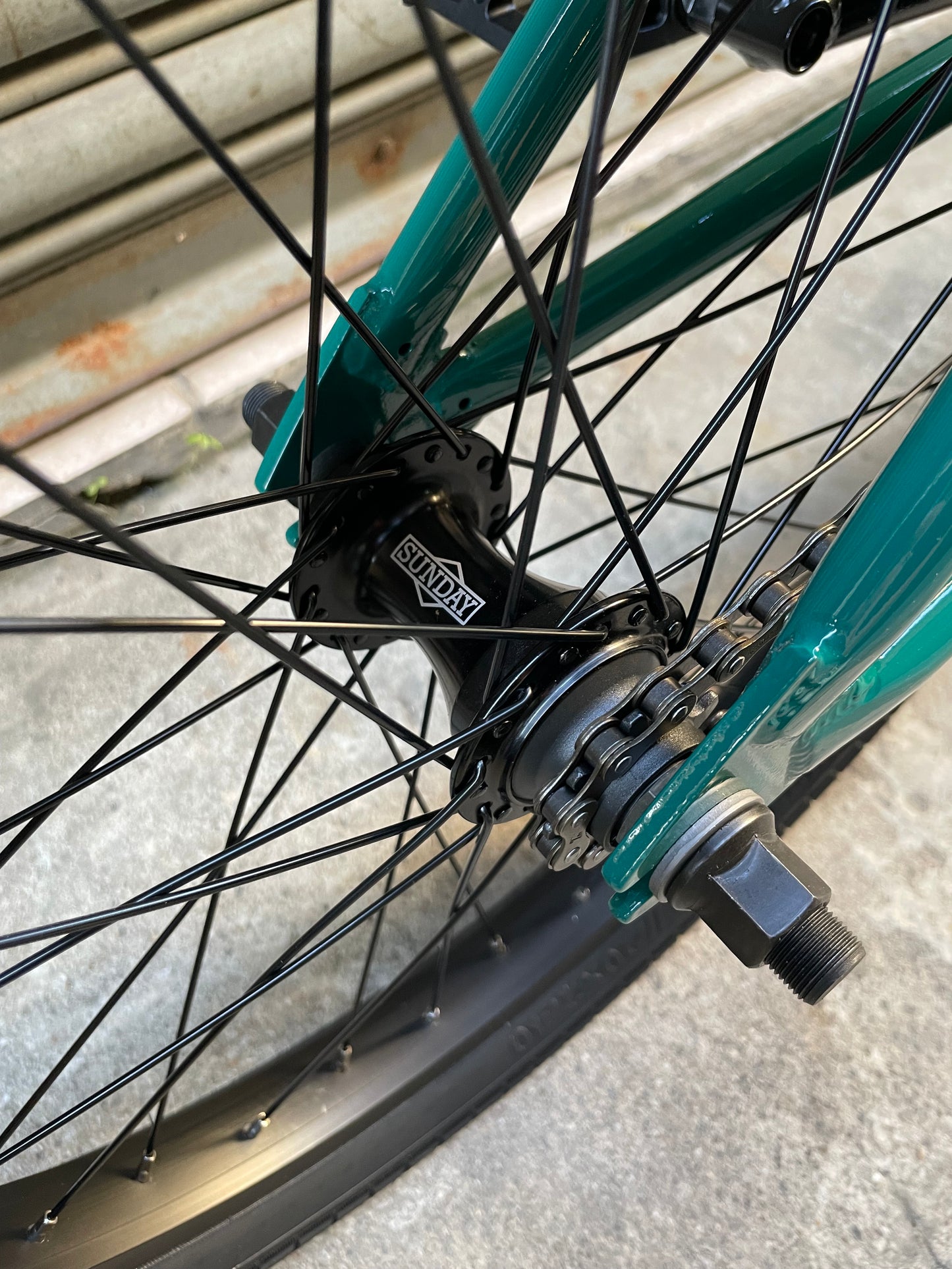 SUNDAY - 2025 SCOUT 20.75" PINE GREEN