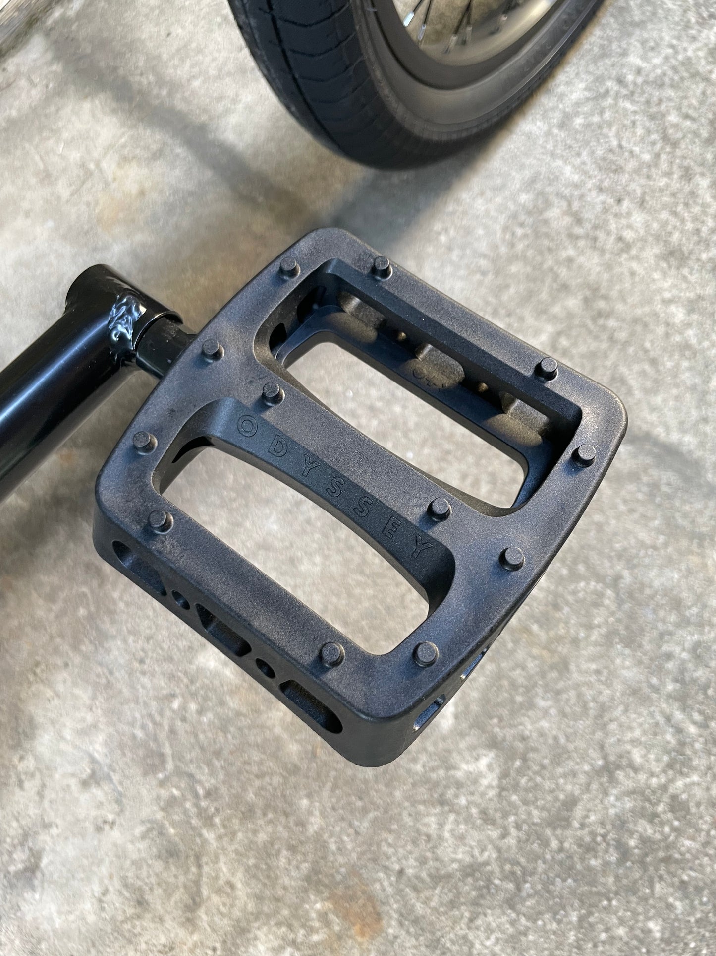 SUNDAY - 2025 SCOUT 20.75" PINE GREEN