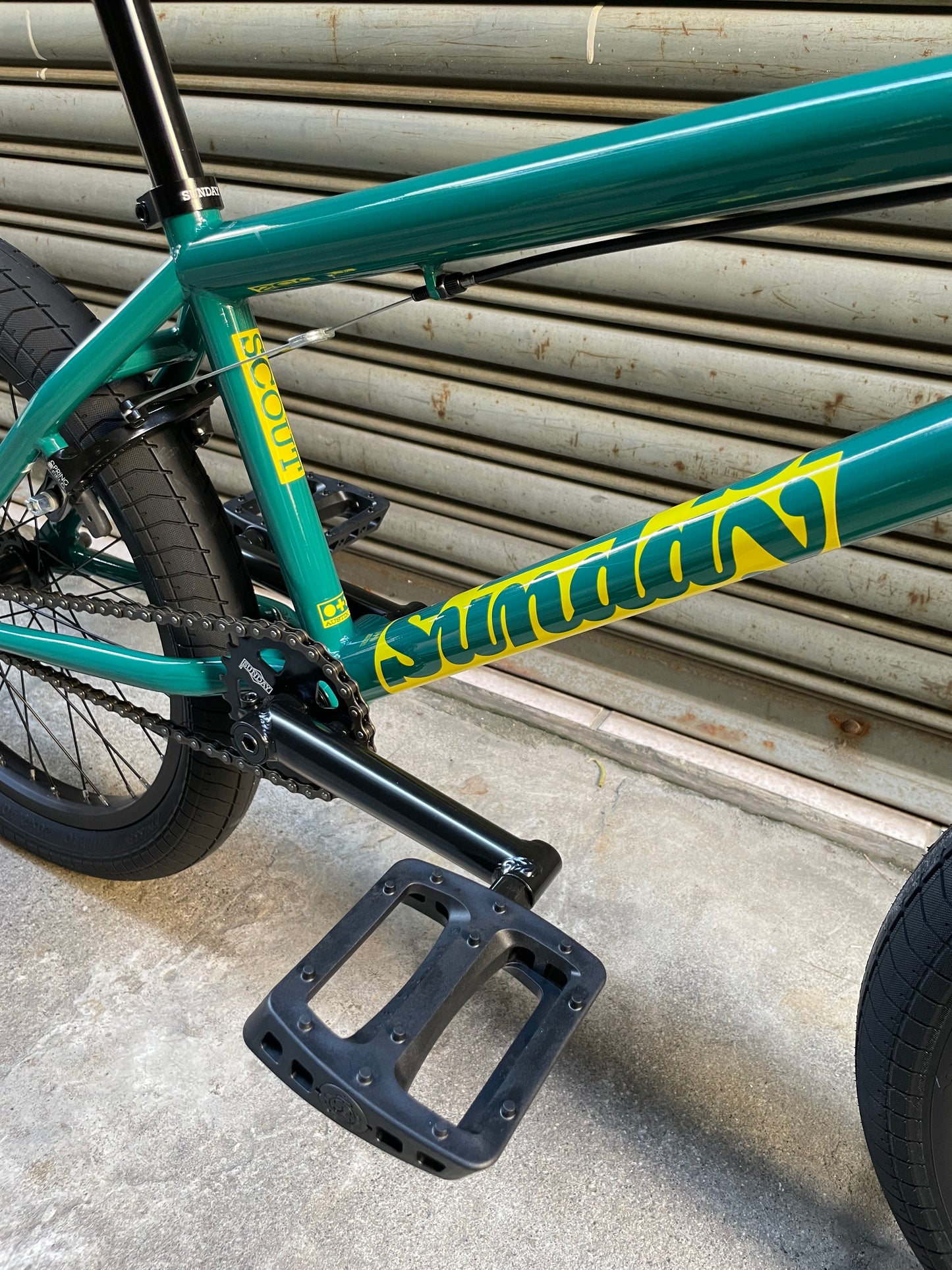 SUNDAY - 2025 SCOUT 20.75" PINE GREEN