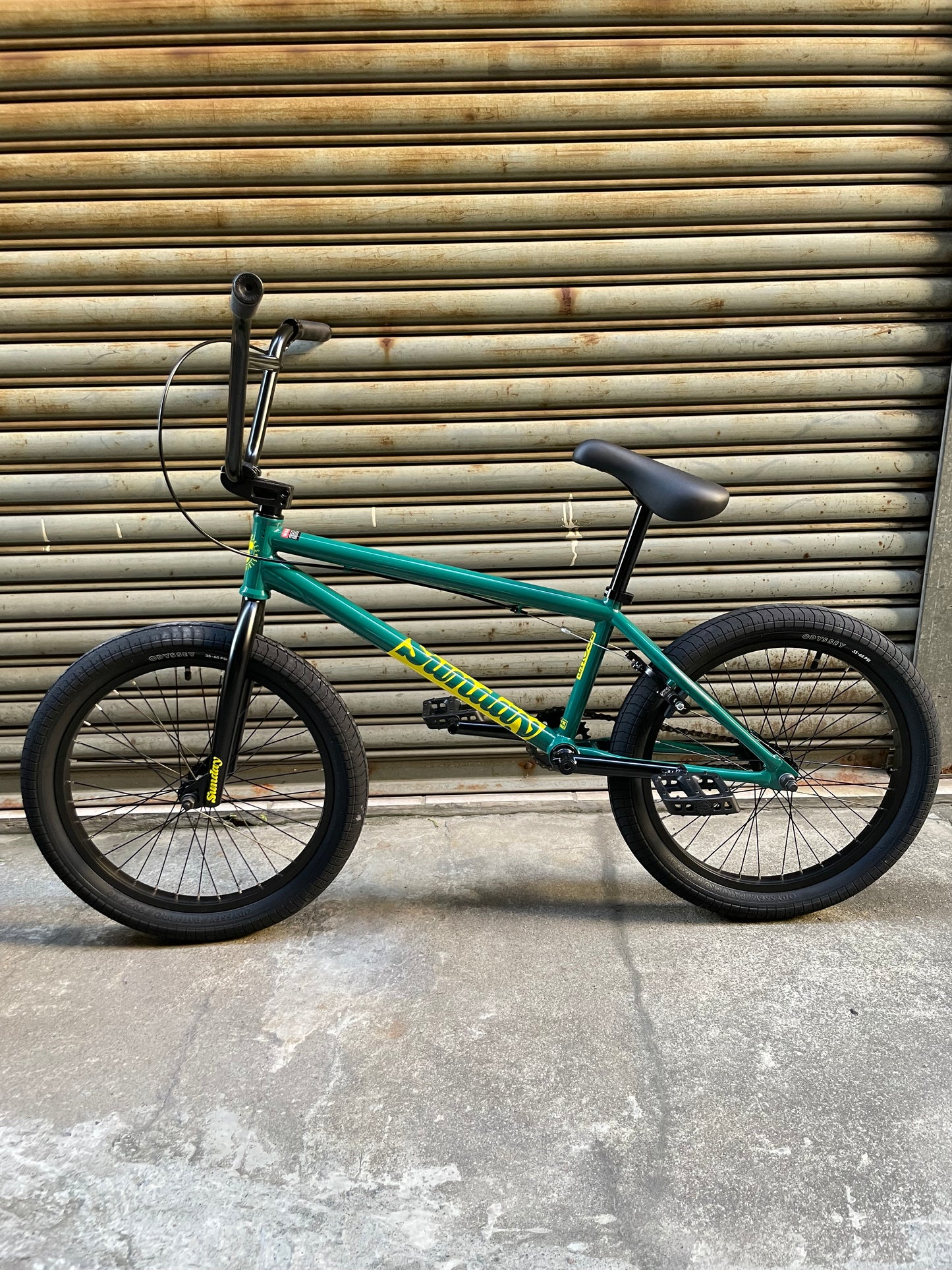 SUNDAY - 2025 SCOUT 20.75" PINE GREEN