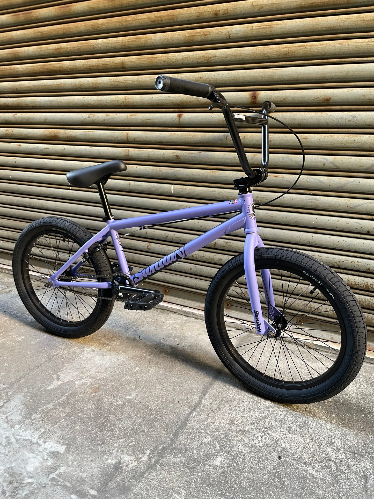 SUNDAY - 2025 SCOUT 21" MATTE BLUE LAVENDER