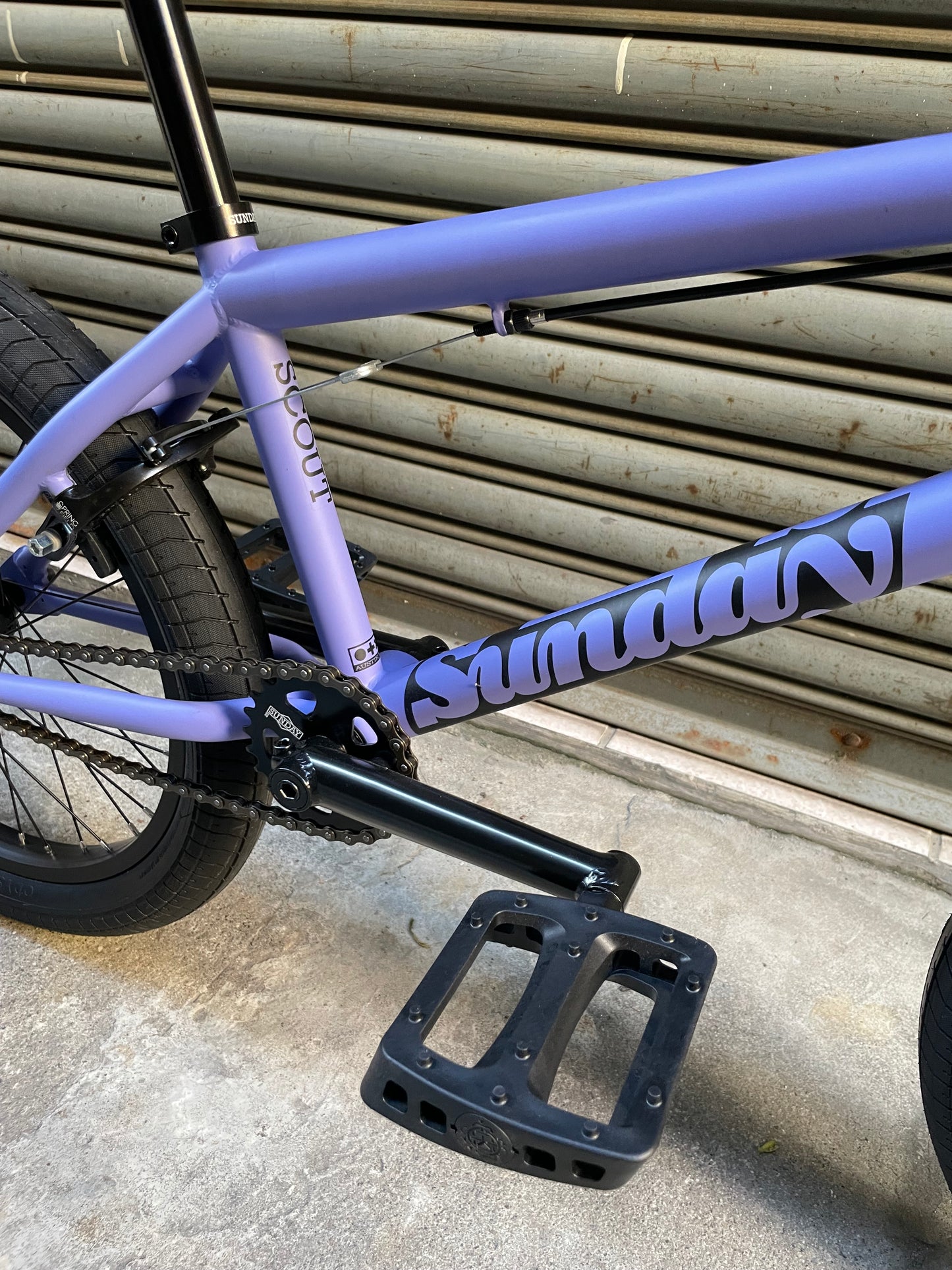 SUNDAY - 2025 SCOUT 21" MATTE BLUE LAVENDER