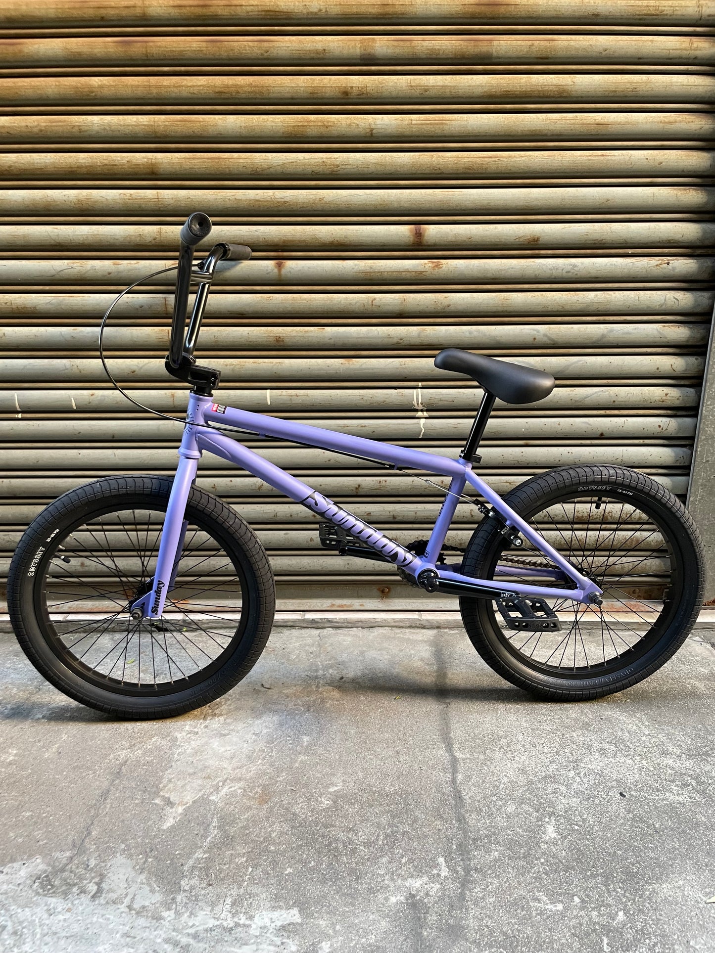 SUNDAY - 2025 SCOUT 21" MATTE BLUE LAVENDER